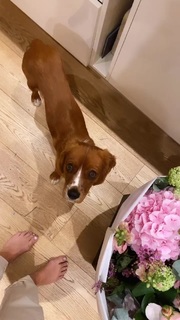 Georgia Toffolo feet photo thumbnail