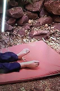 Georgia Toffolo feet photo thumbnail