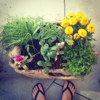Georgina Haig feet photo 1