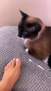 Gezary Matuda feet photo 3