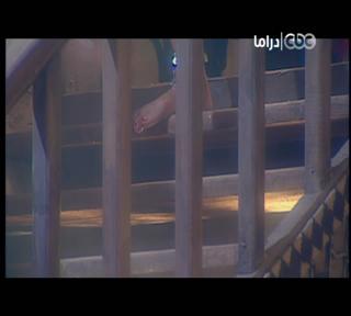 Ghada Abdel Razek feet photo thumbnail