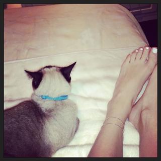 Gia Mantegna feet photo 2