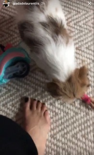 Giada De Laurentiis feet photo thumbnail
