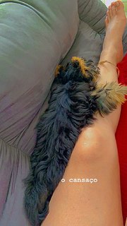 Giana Mello feet photo 4