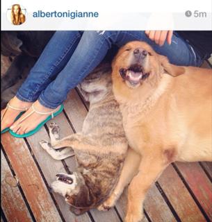 Gianne Albertoni feet photo 14