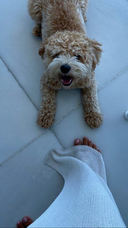 Giannina Milady Gibelli feet photo 8