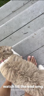 Giannina Milady Gibelli feet photo 13