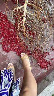 Gideon Adlon feet photo 7