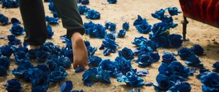 Gideon Adlon feet photo 14