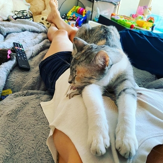 Gigi Edgley feet photo thumbnail
