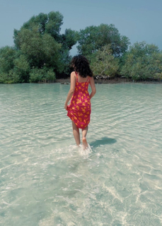 Gihan El Shamashergy feet photo 1