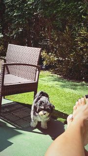 Gila Shlomi feet photo 6