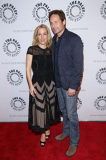 Gillian Anderson feet photo thumbnail