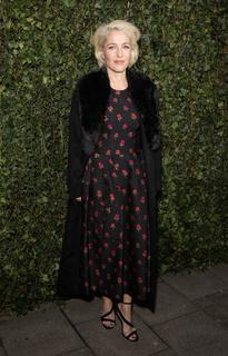 Gillian Anderson feet photo thumbnail