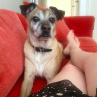Gillian Jacobs feet photo thumbnail