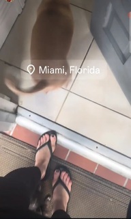 Gillian Robertson feet photo 14