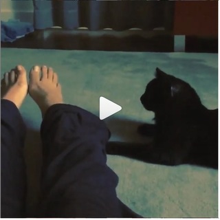 Gina Carano feet photo thumbnail