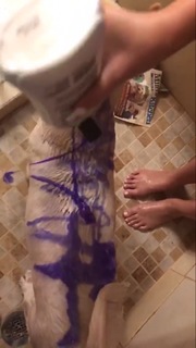 Gina Darling feet photo 8
