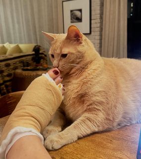 Gina Gershon feet photo thumbnail