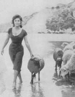 Gina Lollobrigida feet photo thumbnail