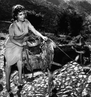 Gina Lollobrigida feet photo thumbnail