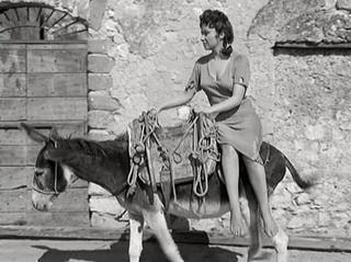 Gina Lollobrigida feet photo thumbnail