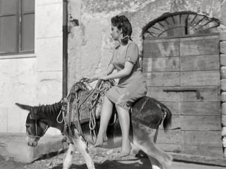 Gina Lollobrigida feet photo thumbnail