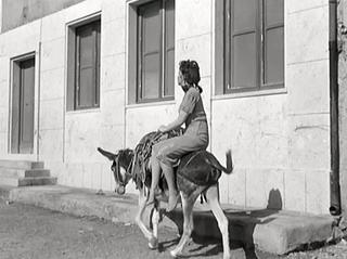 Gina Lollobrigida feet photo thumbnail