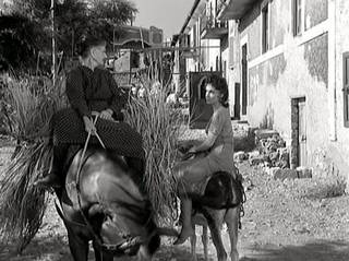 Gina Lollobrigida feet photo thumbnail