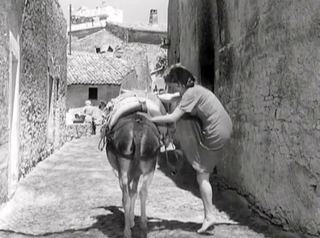 Gina Lollobrigida feet photo thumbnail