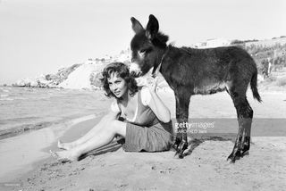 Gina Lollobrigida feet photo thumbnail