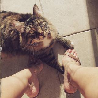 Gina Pistol feet photo 19
