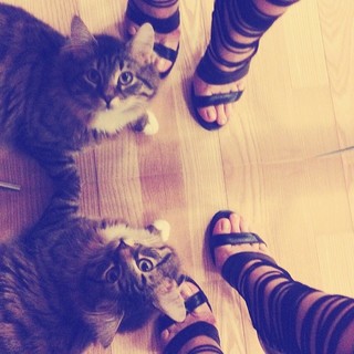Gina Pistol feet photo 14
