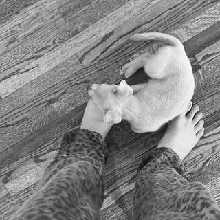 Ginger Gonzaga feet photo 1