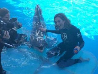Ginger Zee feet photo thumbnail