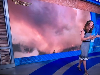 Ginger Zee feet photo thumbnail