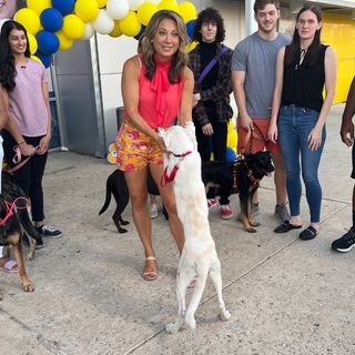 Ginger Zee feet photo thumbnail