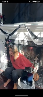 Ginger Zee feet photo thumbnail
