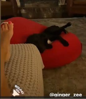 Ginger Zee feet photo 8