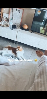 Giorgia Crivello feet photo thumbnail