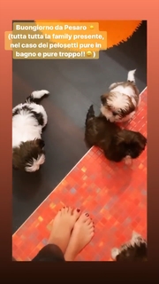 Giorgia Palmas feet photo thumbnail