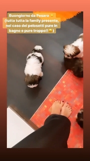 Giorgia Palmas feet photo thumbnail