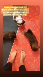 Giorgia Palmas feet photo thumbnail