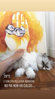 Giorgia Surina feet photo thumbnail