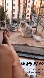 Giorgia Surina feet photo thumbnail