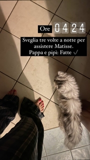 Giorgia Surina feet photo thumbnail