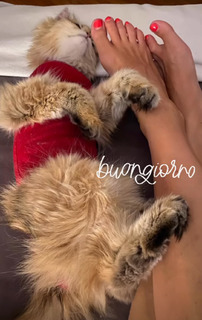 Giorgia Surina feet photo thumbnail