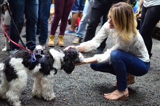 Giovanna Ewbank feet photo thumbnail