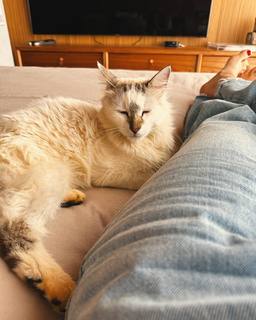 Giovanna Ewbank feet photo thumbnail