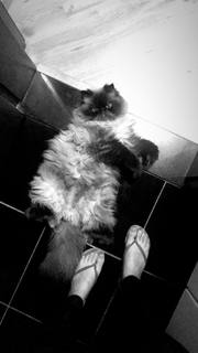 Giovanna Grigio feet photo thumbnail